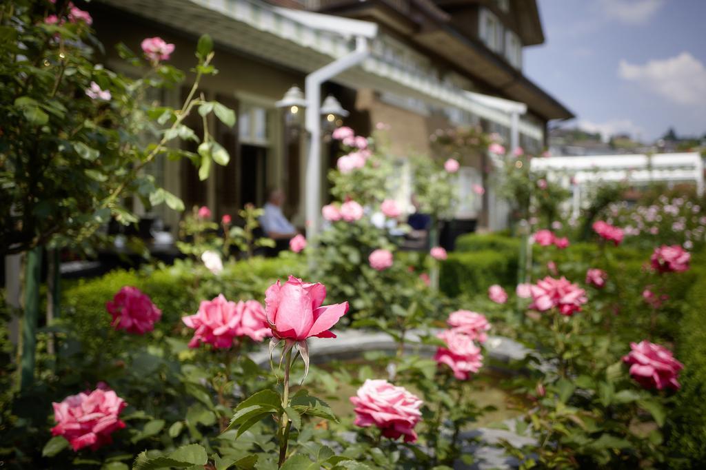 Landgasthof Hotel Rössli Ebikon Exteriör bild